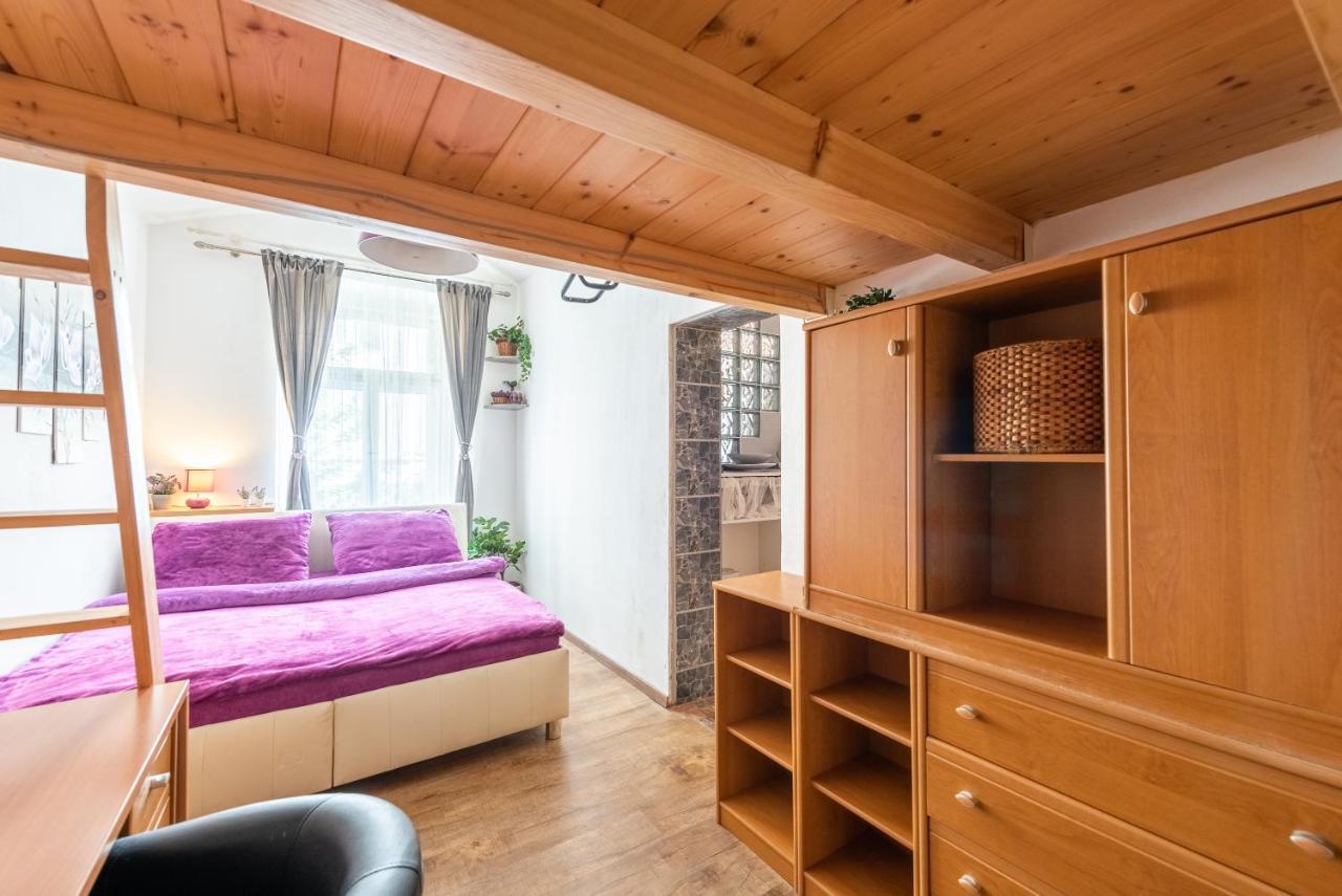 Apartmán Zizkov *
