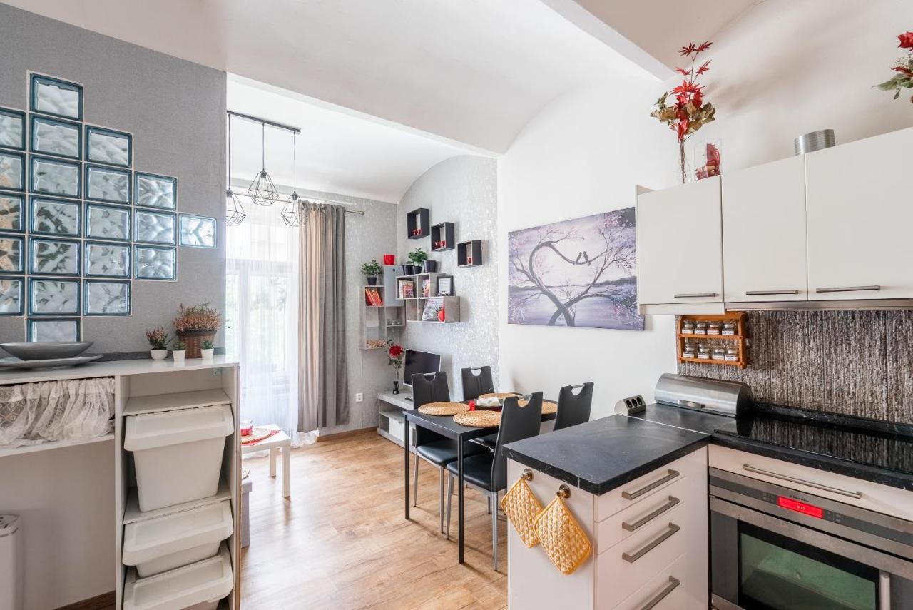 Apartmán Zizkov Praha