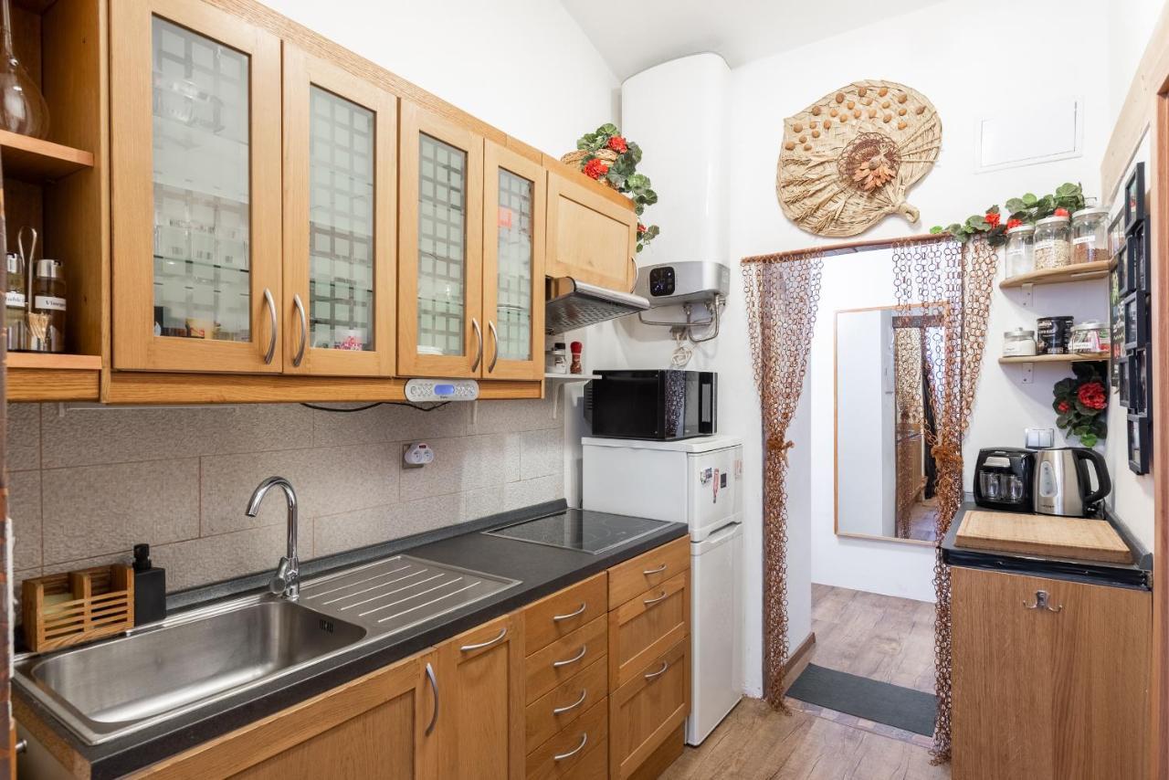Zizkov Apartmán *